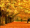 fall outside