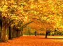 fall outside