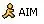 Aim Icon + Word