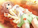 bed of leaves