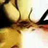 Gaara