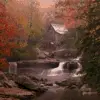 autumn by the stream