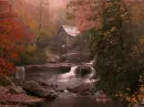 autumn by the stream