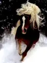 Snow Run