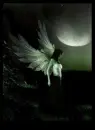 night angel