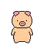 a pig