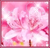 Think Pink