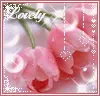you're so lovely