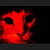 cats,halloween,holiday.spooky