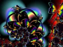 colorful butterflies