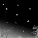 butterflies BG