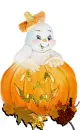 Casper in pumpkin
