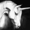 unicorn