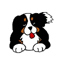 Doggy