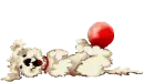Dog playing ball