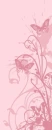 Pink butterfly