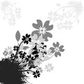BLACK FLOWERS