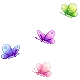 little butterflys