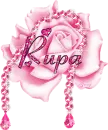 Rupa