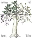 Seasonal tree