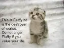 Fluffy