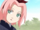 cute sakura