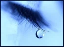 Blue Cry