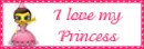 I Love my princess