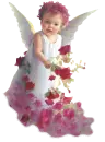 rose's angel