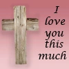 i love you this much