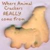 animal crackers