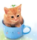 cute kitty