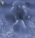lady