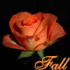 orange fall rose