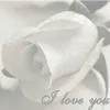 I love you