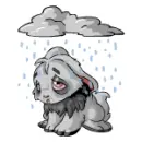grey cybunny