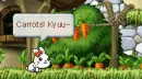 maplesea