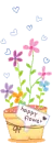 HAPPY FLOWER