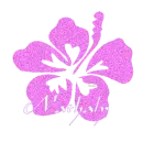 Hawaiian Flower