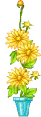 yellow flowers