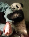 you cant leave me here?