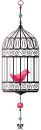 little bird