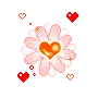 pink flower