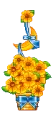 yellow flowers