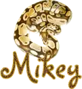 Mikey