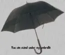 umbrella