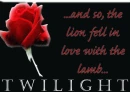 twilight