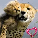 Real love