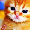 Cute