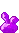 jelly